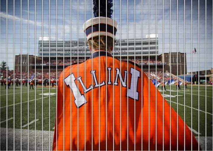 ILLINOIS UNIVERSITY